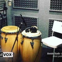 Demvox-Bonobo-Studio-DV416-4